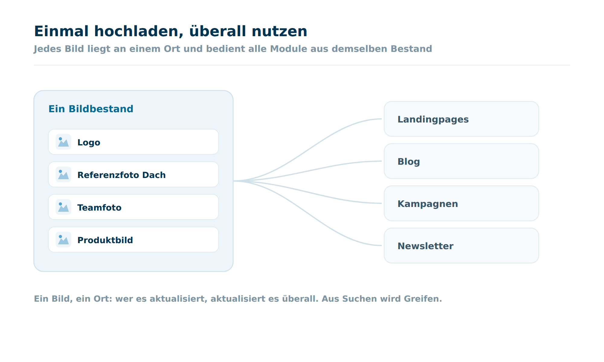 Eine Mediathek in Octoserv mit einem geordneten Bildbestand aus Logo, Referenzfoto, Teamfoto und Produktbild, aus dem Landingpages, Blog, Kampagnen und Newsletter bedient werden